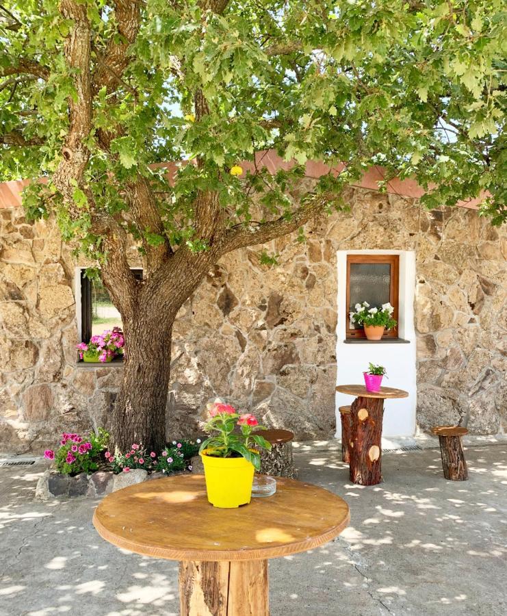 Agriturismo Bonu Suile Silanus Exterior foto